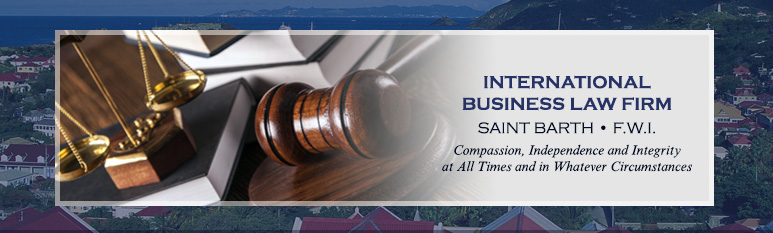 International Business Law Firm